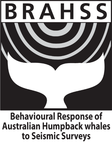 BRAHSS Logo