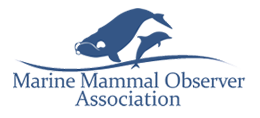 mmoa logo